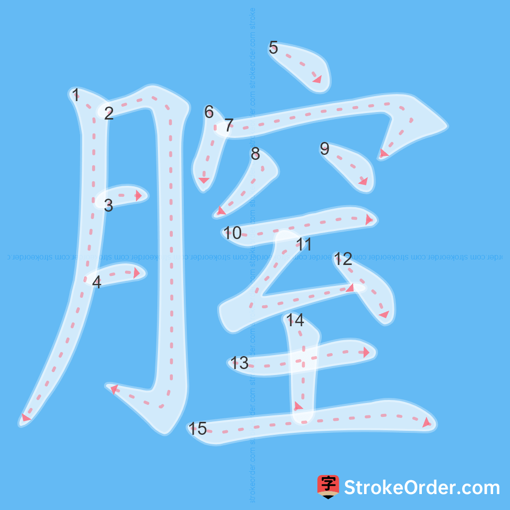 Standard stroke order for the Chinese character 膣