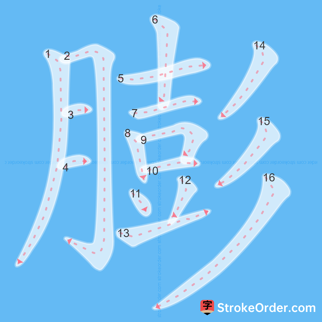 Standard stroke order for the Chinese character 膨