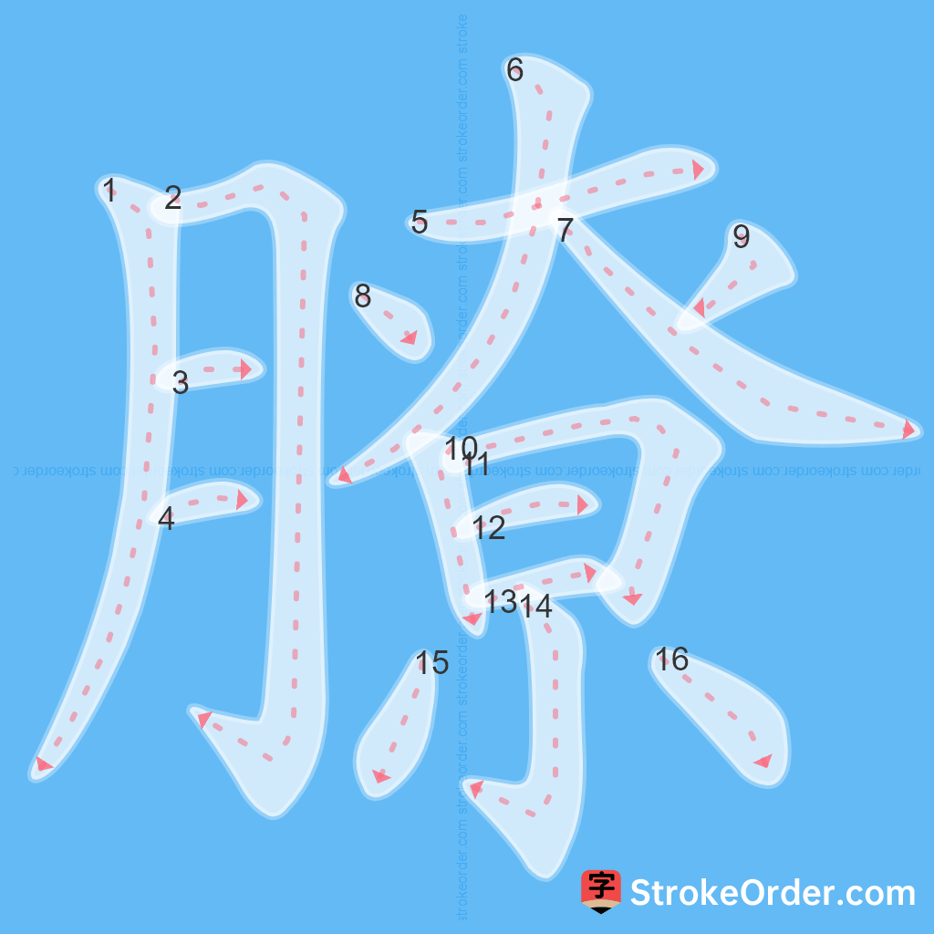 Standard stroke order for the Chinese character 膫
