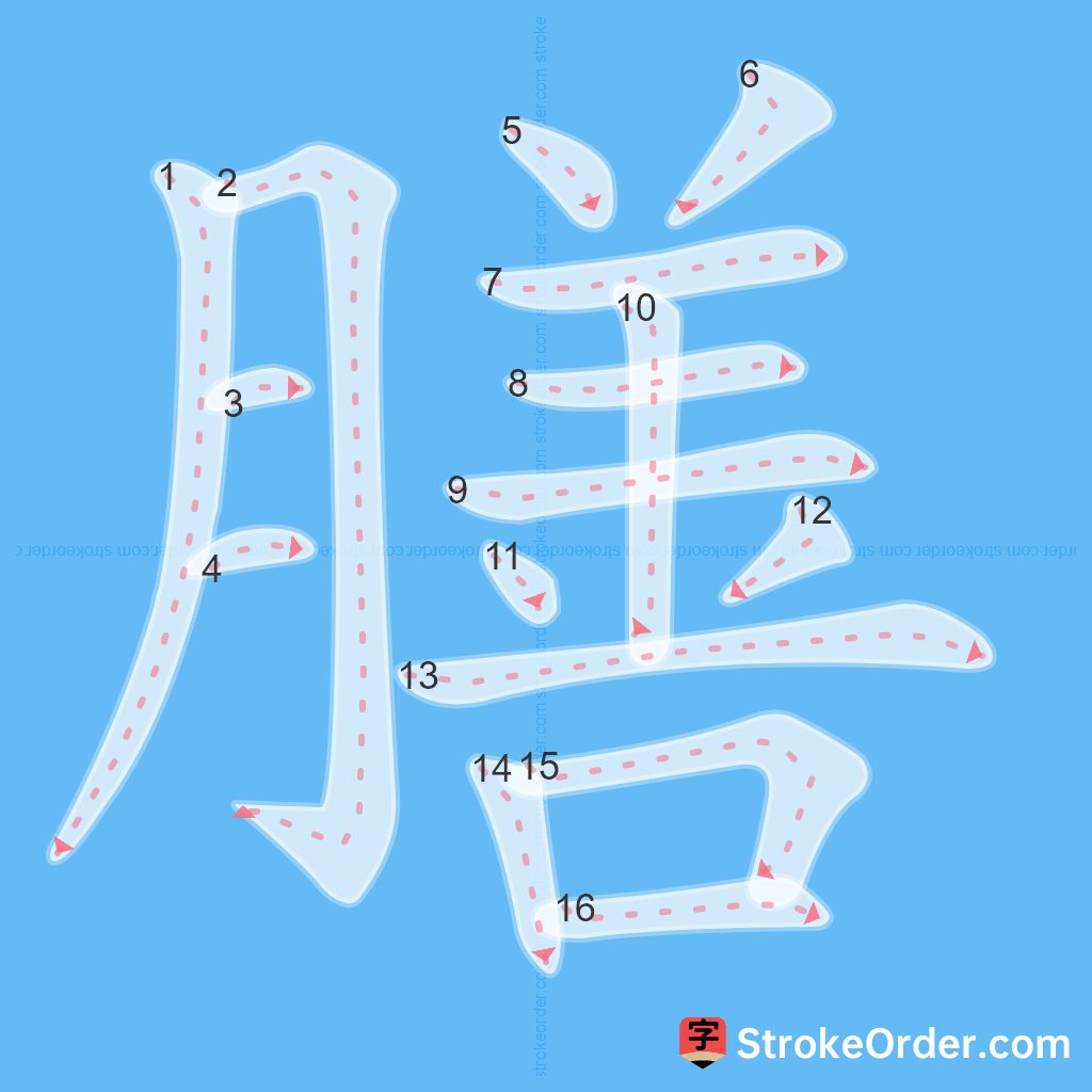 Standard stroke order for the Chinese character 膳