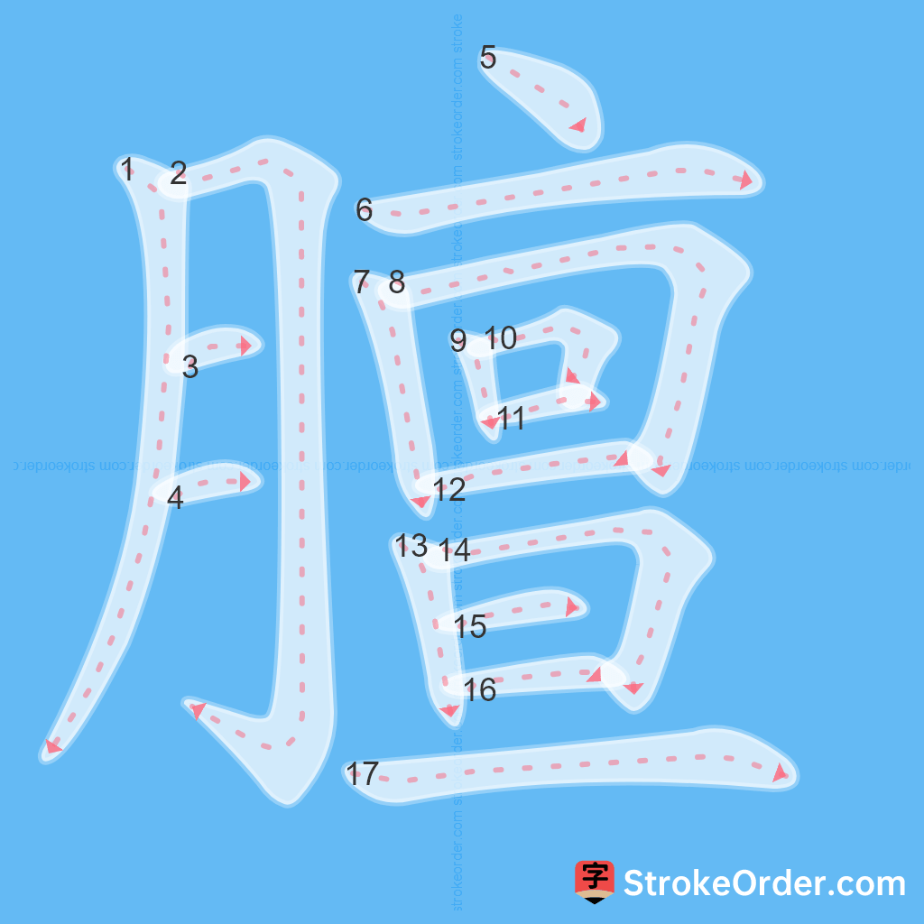 Standard stroke order for the Chinese character 膻