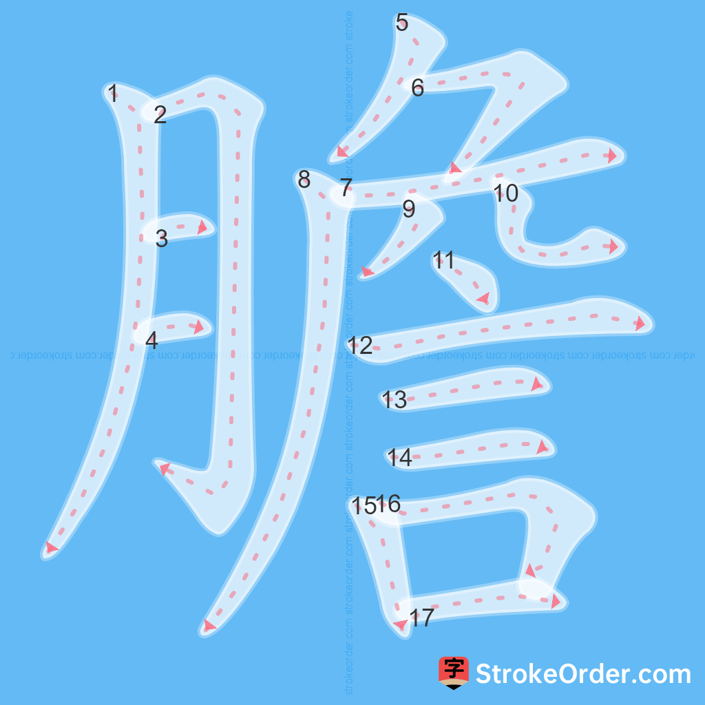 Standard stroke order for the Chinese character 膽