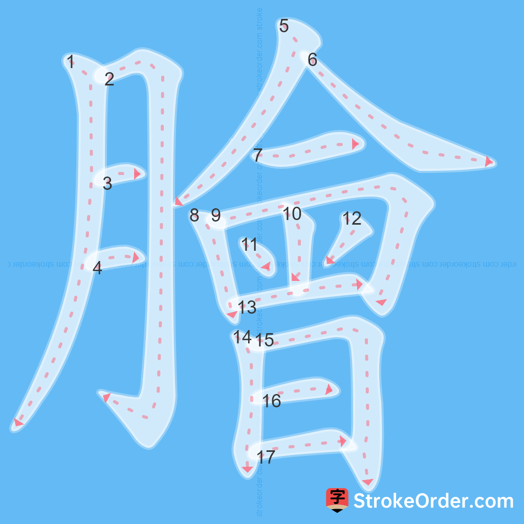 Standard stroke order for the Chinese character 膾