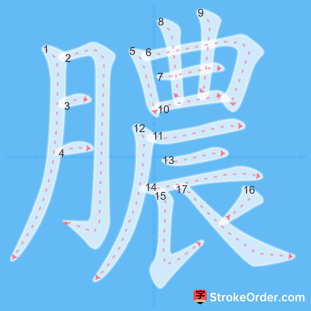 Standard stroke order for the Chinese character 膿