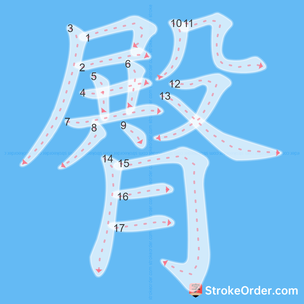 Standard stroke order for the Chinese character 臀