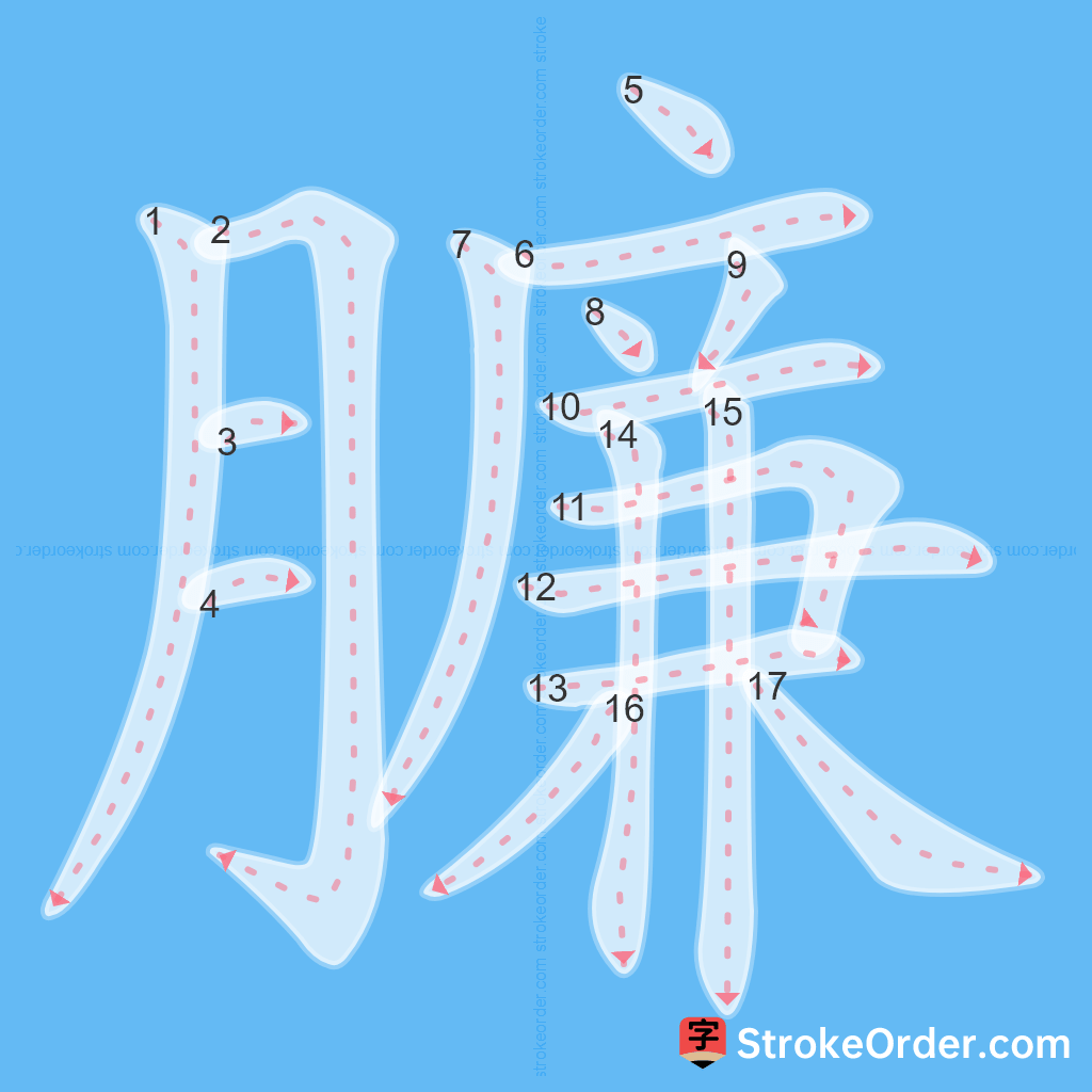 Standard stroke order for the Chinese character 臁