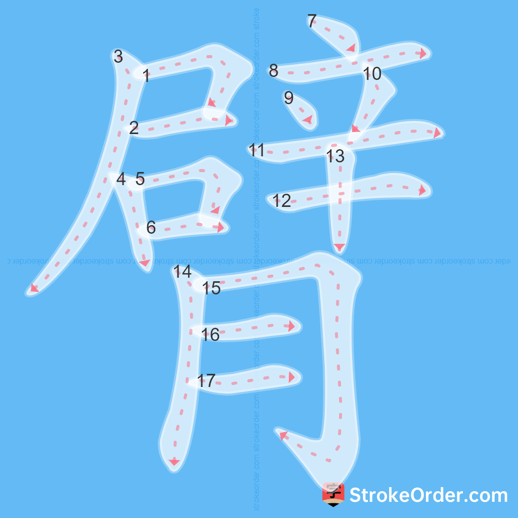 Standard stroke order for the Chinese character 臂