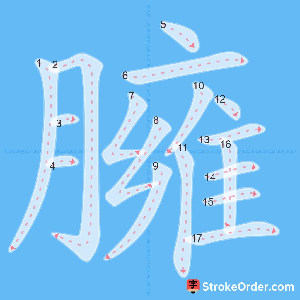 Standard stroke order for the Chinese character 臃