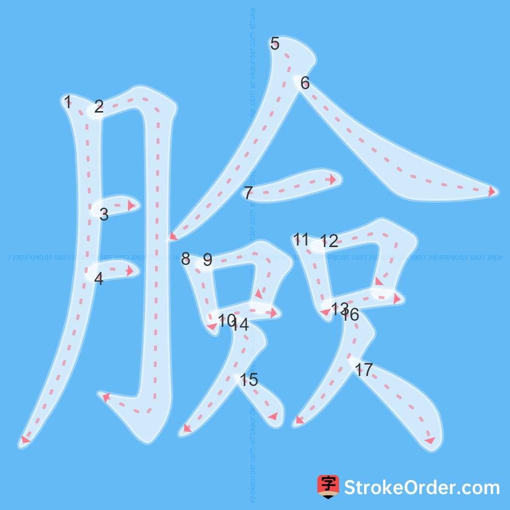Standard stroke order for the Chinese character 臉