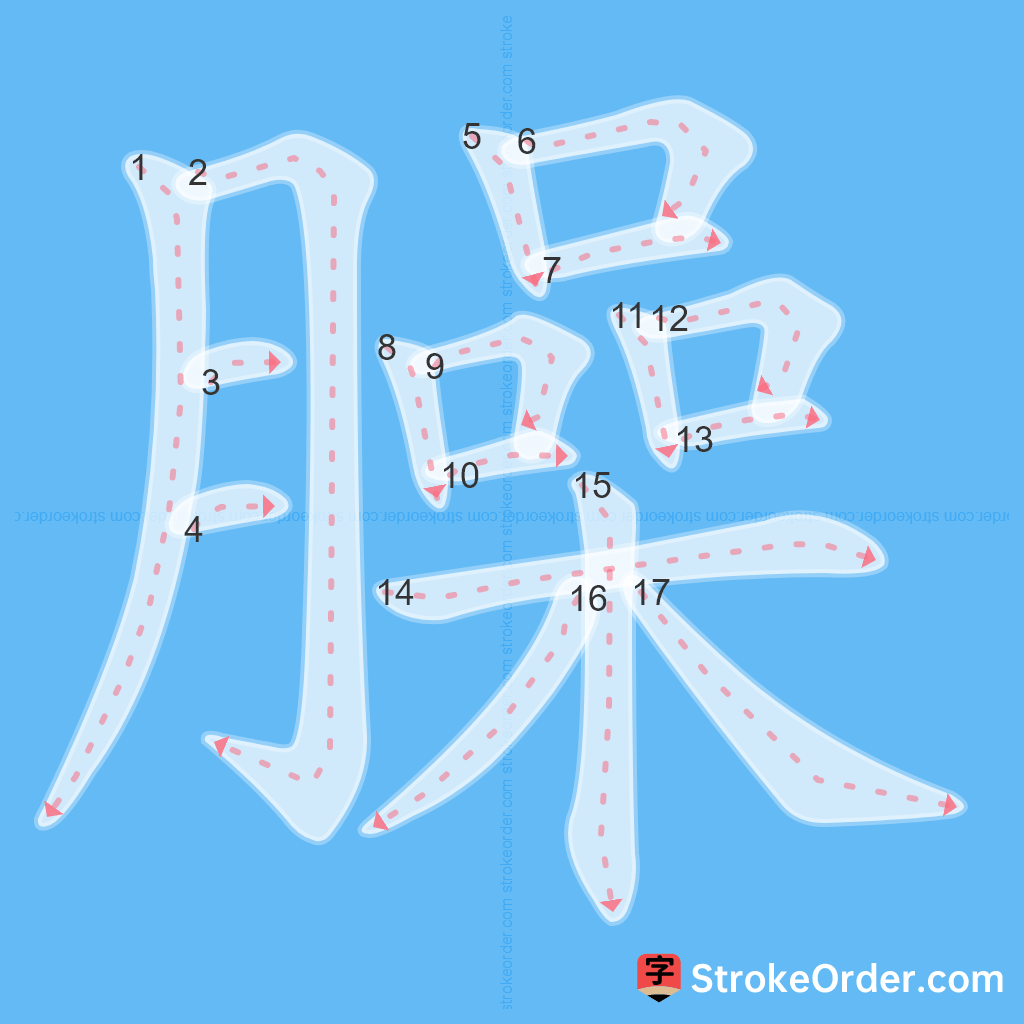 Standard stroke order for the Chinese character 臊
