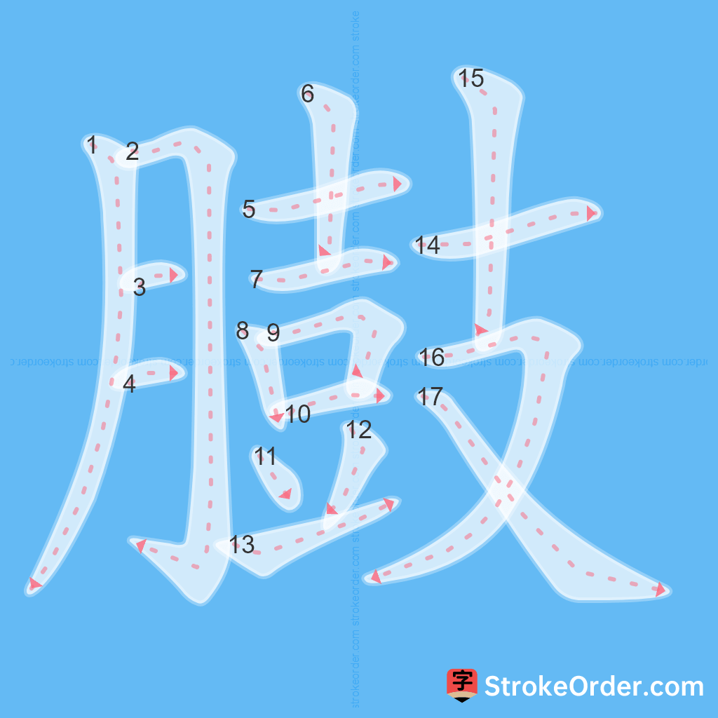 Standard stroke order for the Chinese character 臌