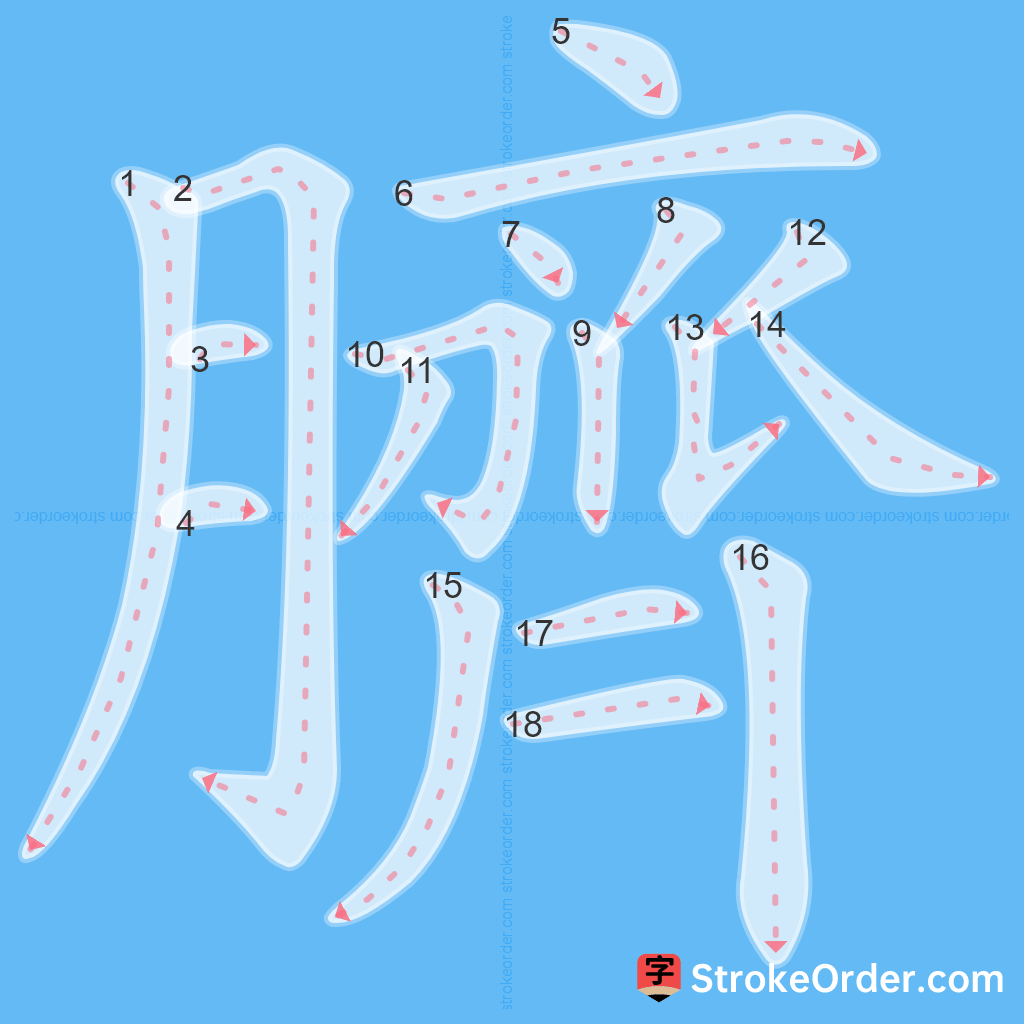 Standard stroke order for the Chinese character 臍