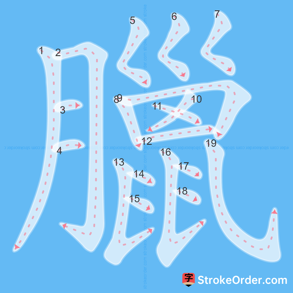 Standard stroke order for the Chinese character 臘