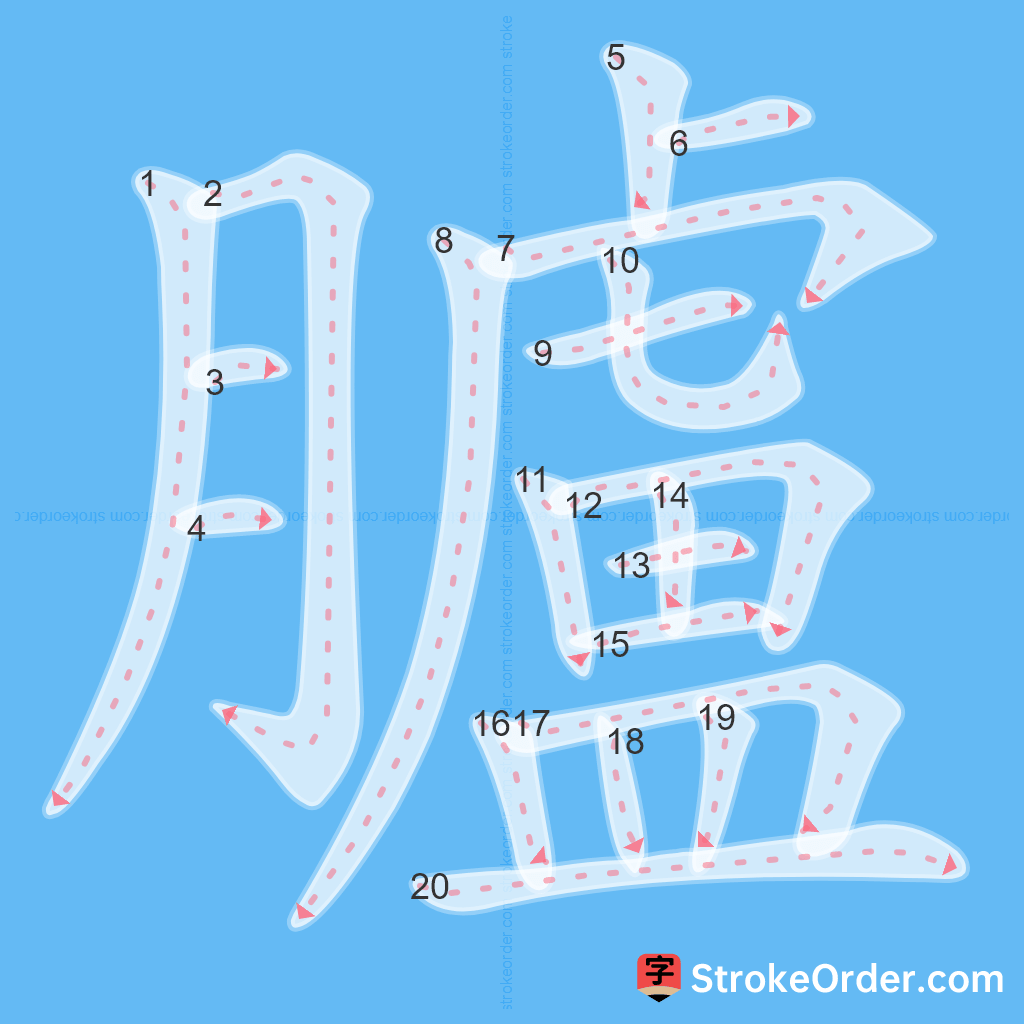 Standard stroke order for the Chinese character 臚