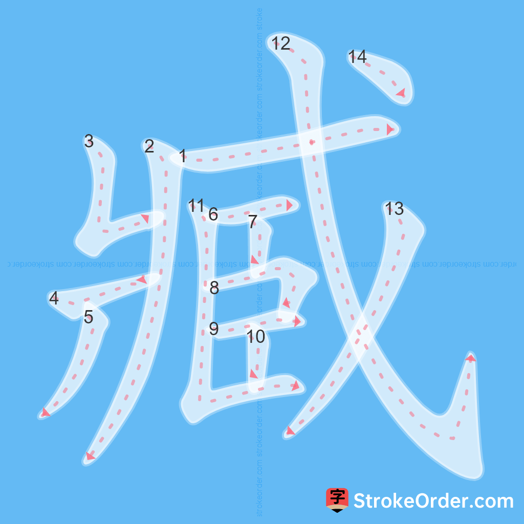 Standard stroke order for the Chinese character 臧