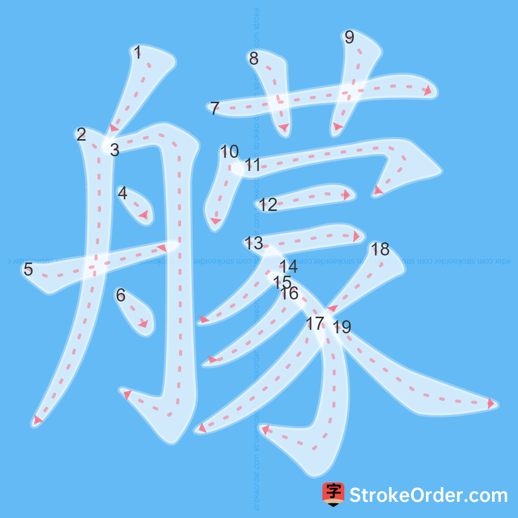 Standard stroke order for the Chinese character 艨