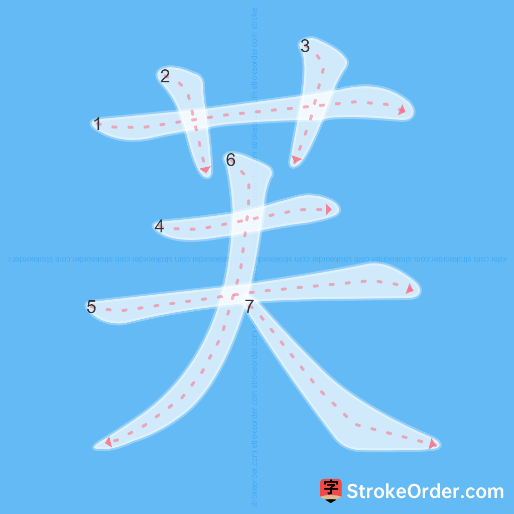 Standard stroke order for the Chinese character 芙