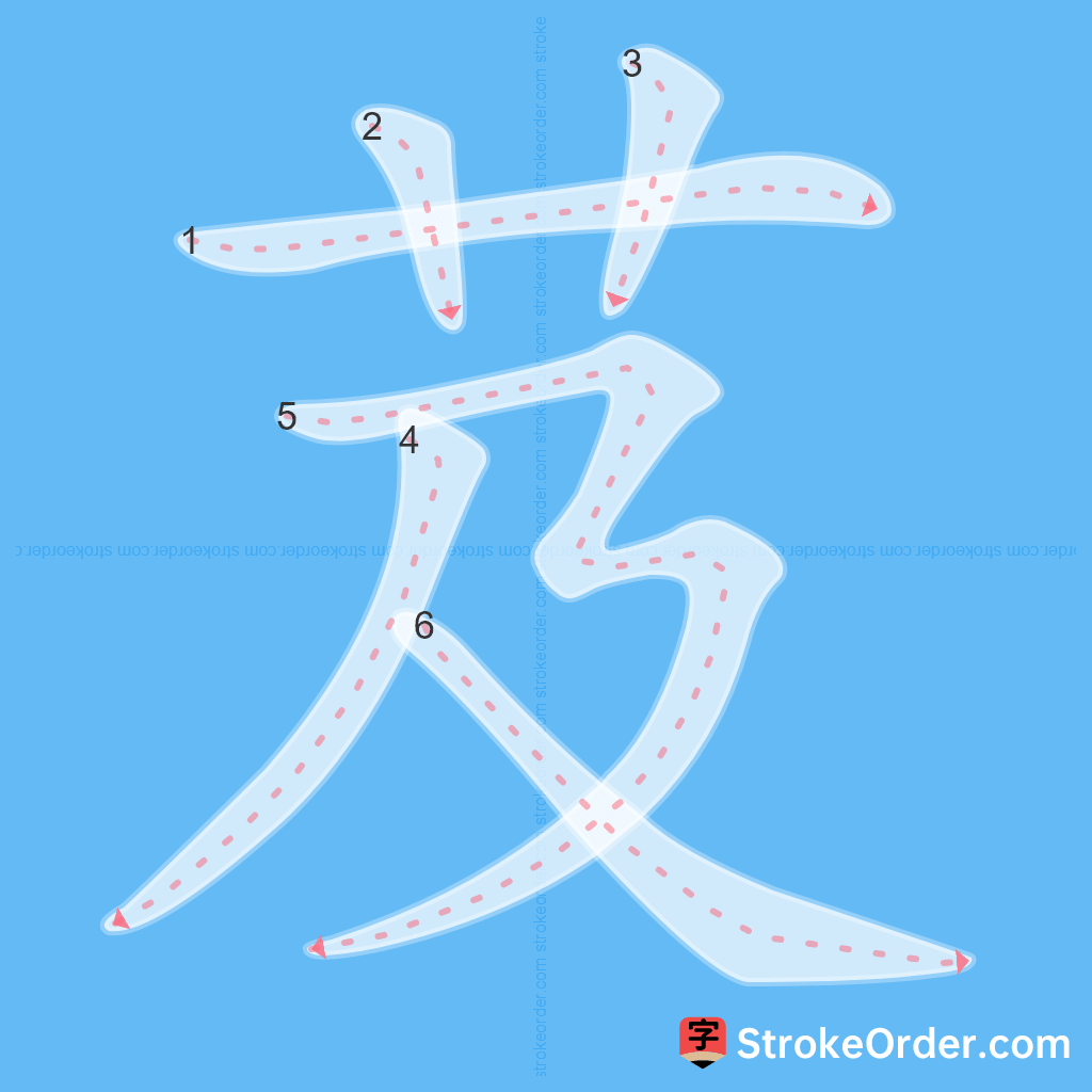 Standard stroke order for the Chinese character 芨