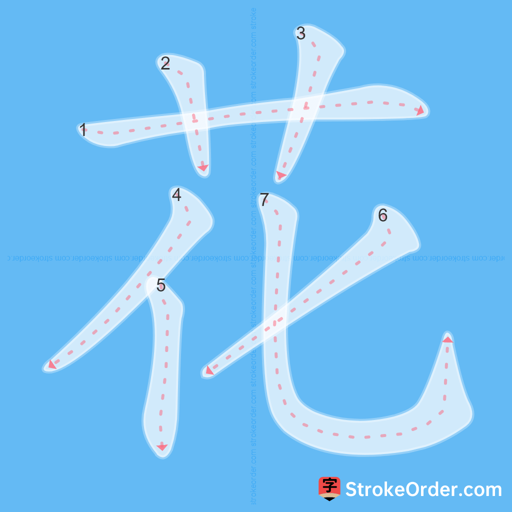 Standard stroke order for the Chinese character 花