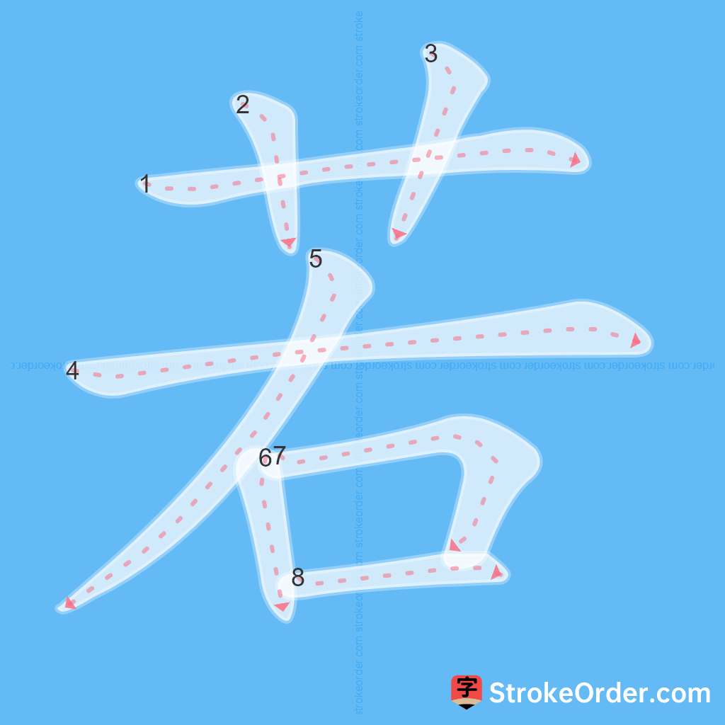 Standard stroke order for the Chinese character 若