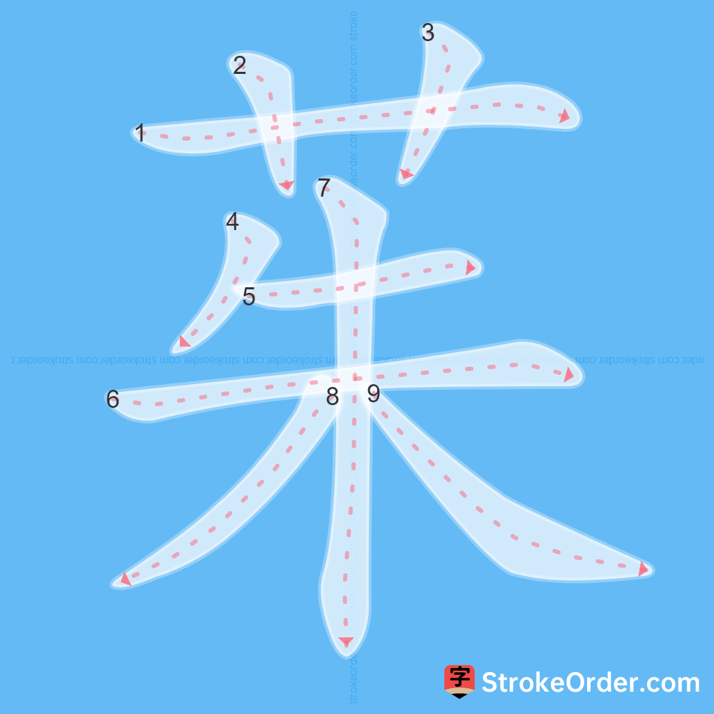 Standard stroke order for the Chinese character 茱