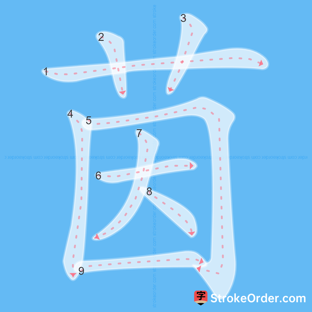 Standard stroke order for the Chinese character 茵