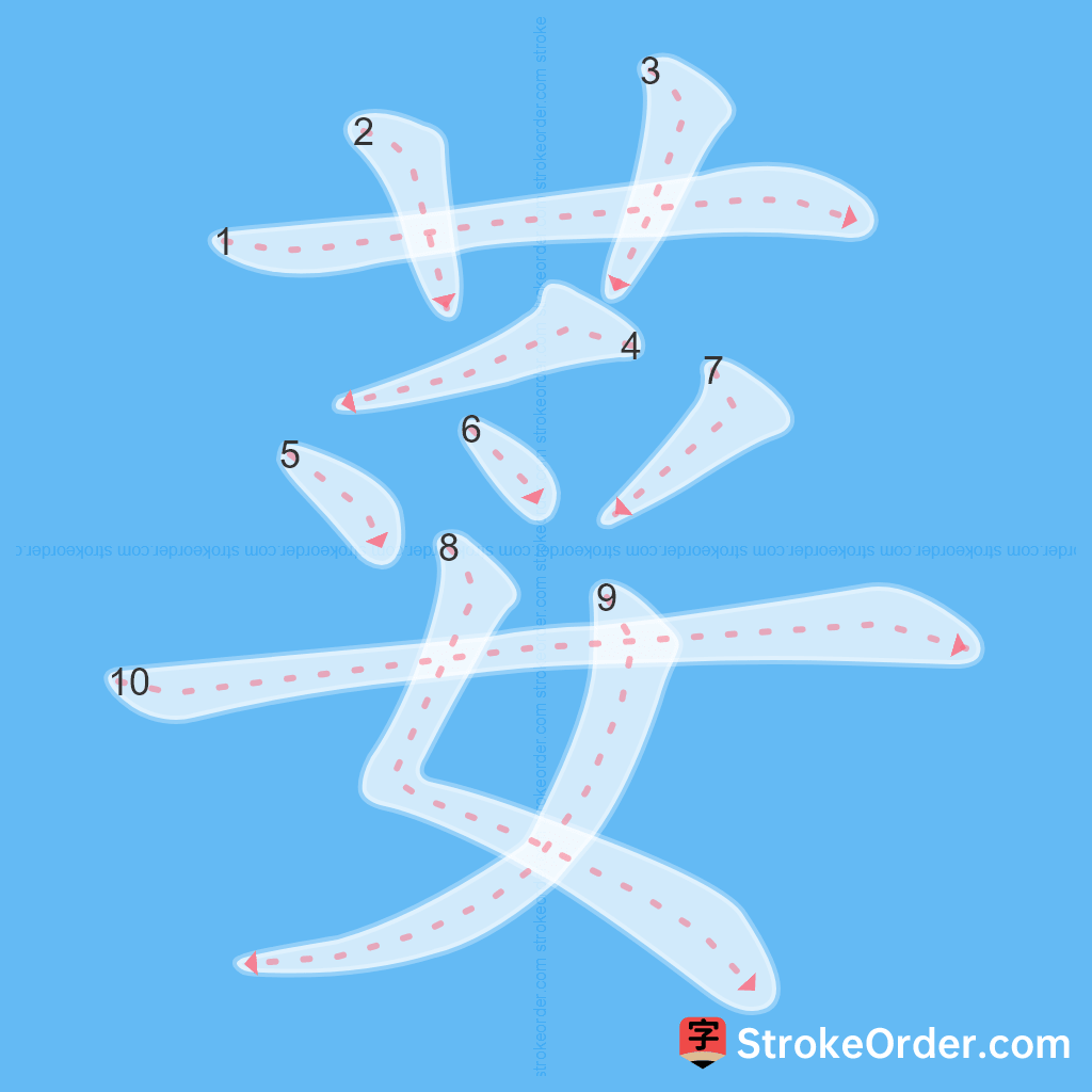 Standard stroke order for the Chinese character 荽