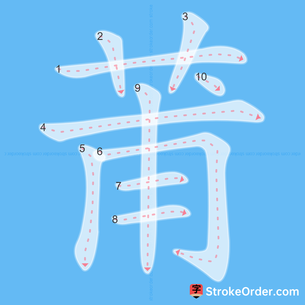 Standard stroke order for the Chinese character 莆