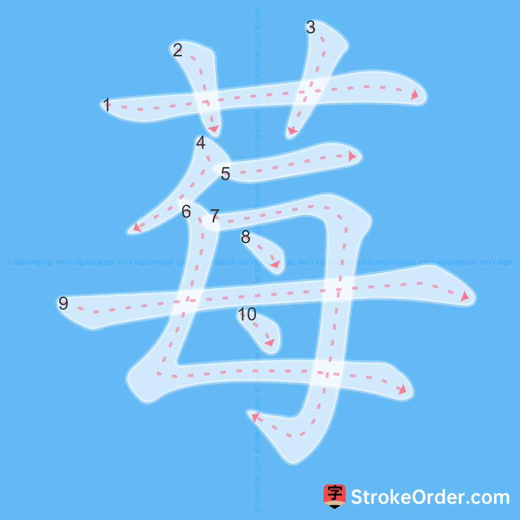 Standard stroke order for the Chinese character 莓