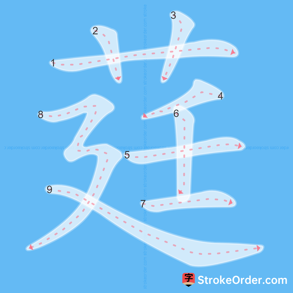 Standard stroke order for the Chinese character 莛
