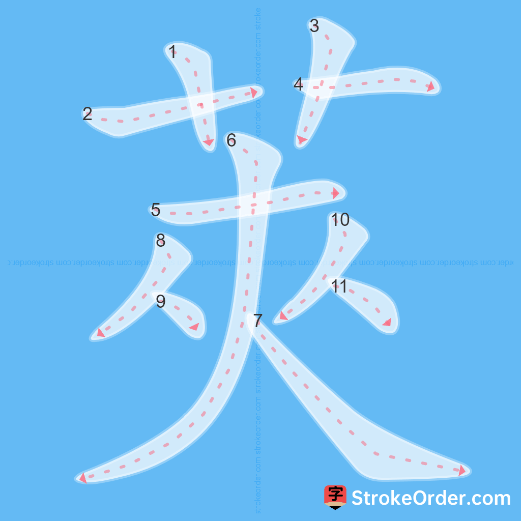 Standard stroke order for the Chinese character 莢