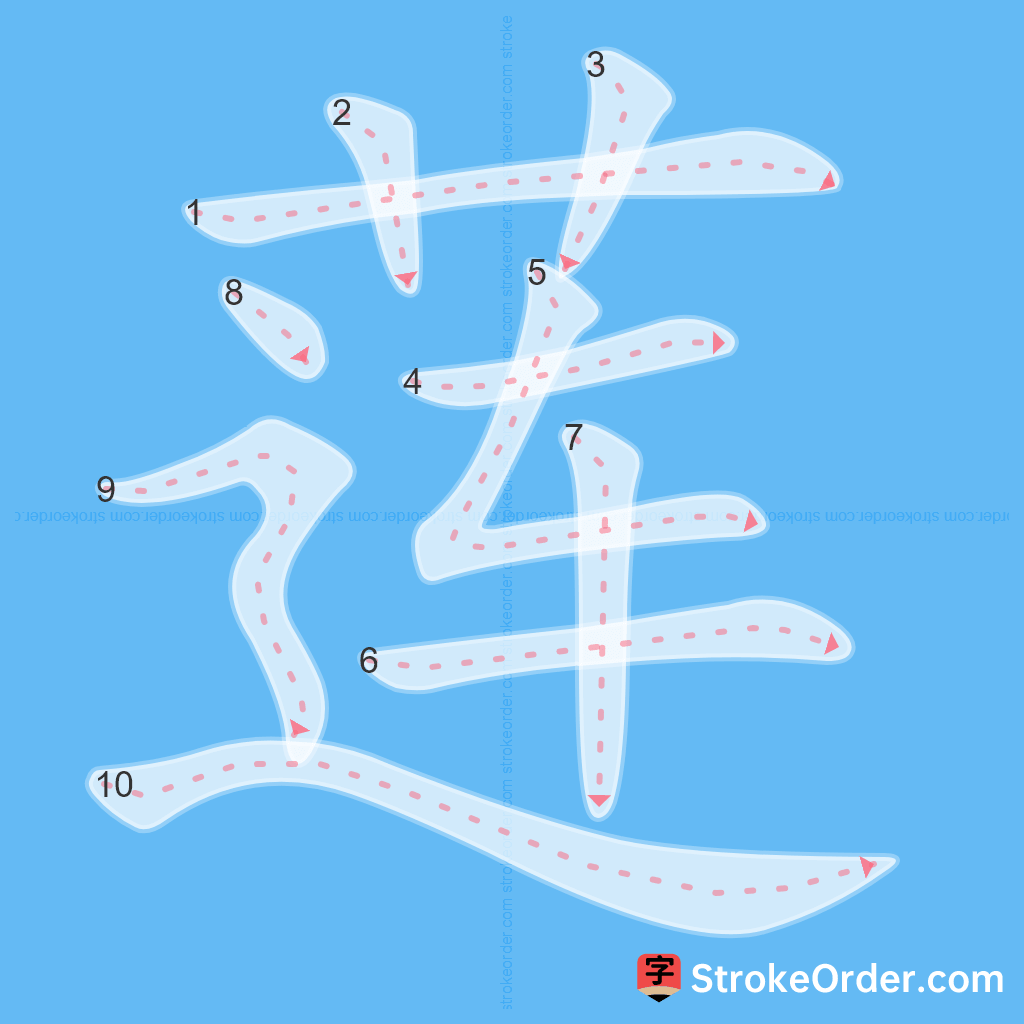 Standard stroke order for the Chinese character 莲