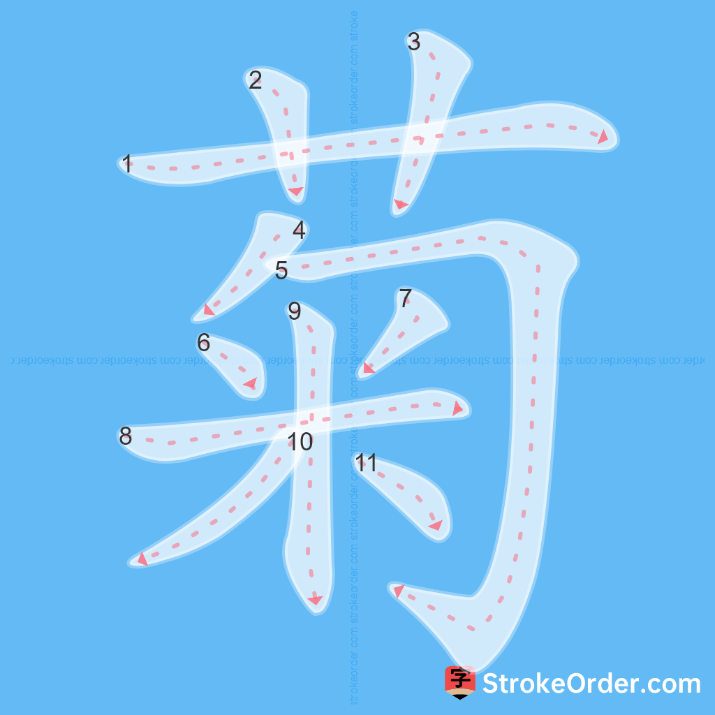 Standard stroke order for the Chinese character 菊