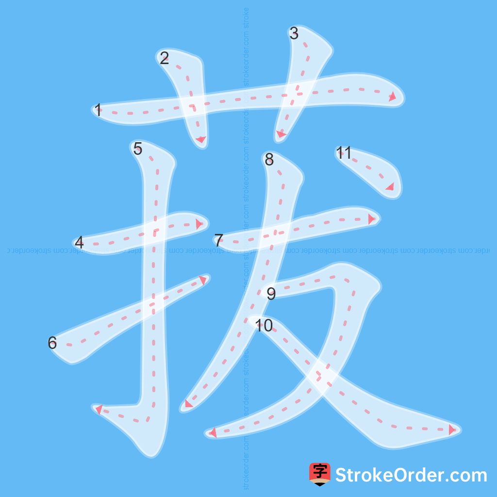 Standard stroke order for the Chinese character 菝