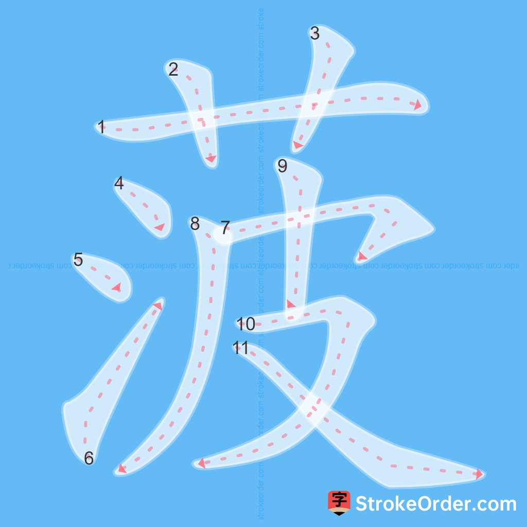 Standard stroke order for the Chinese character 菠