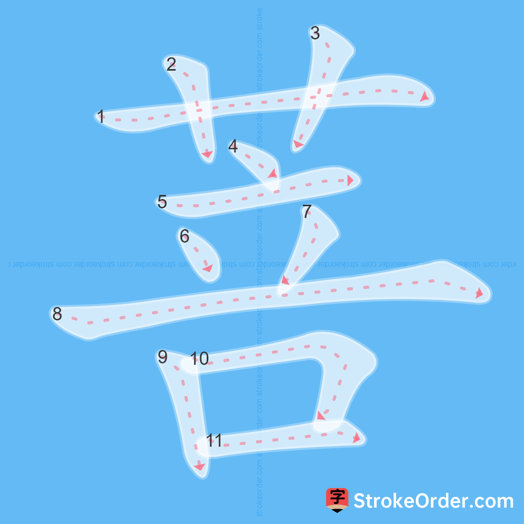 Standard stroke order for the Chinese character 菩