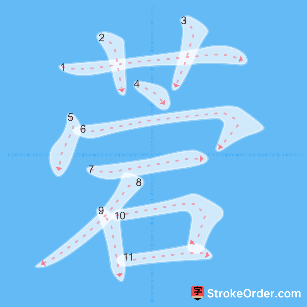 Standard stroke order for the Chinese character 菪
