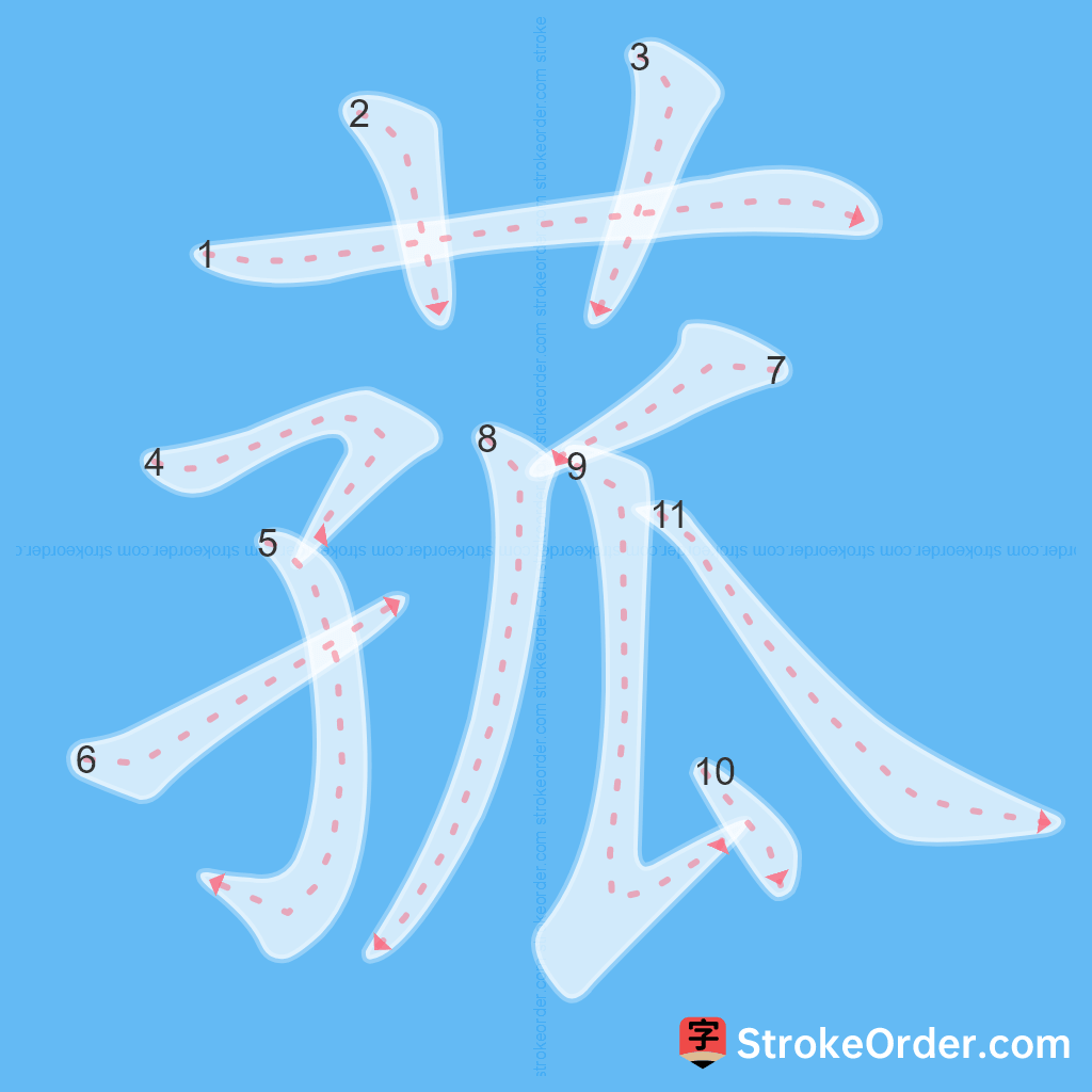 Standard stroke order for the Chinese character 菰