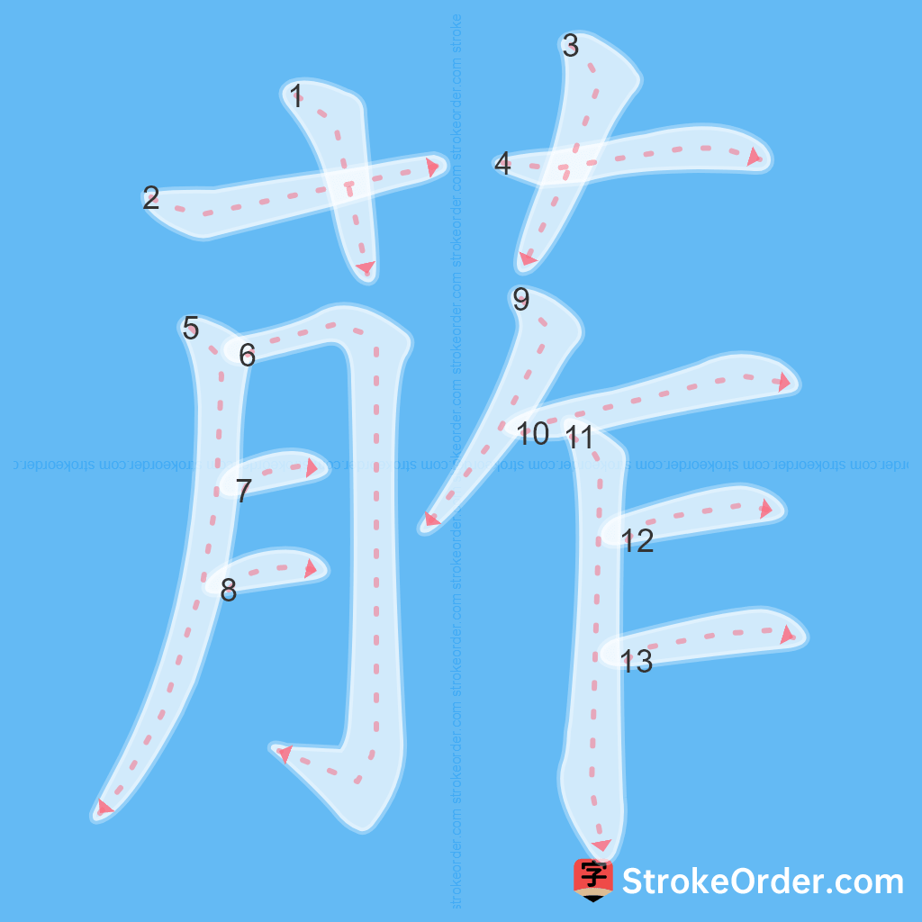 Standard stroke order for the Chinese character 葄