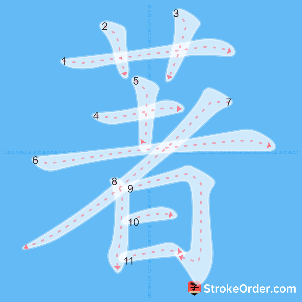 Standard stroke order for the Chinese character 著