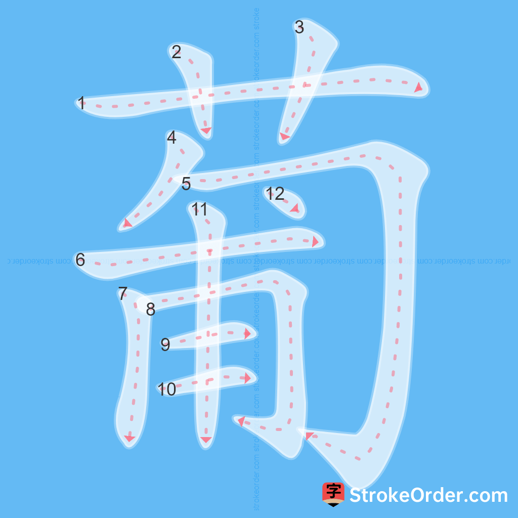 Standard stroke order for the Chinese character 葡