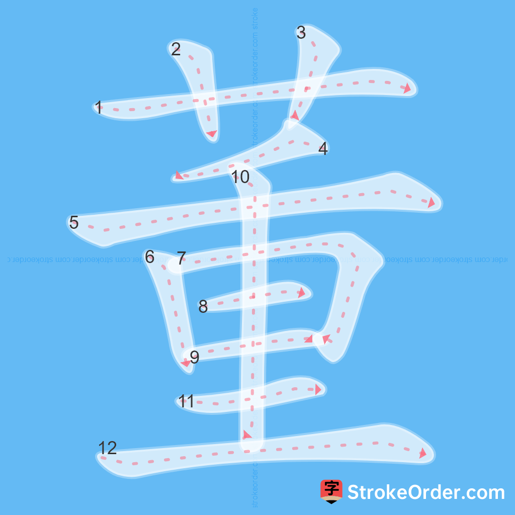 Standard stroke order for the Chinese character 董