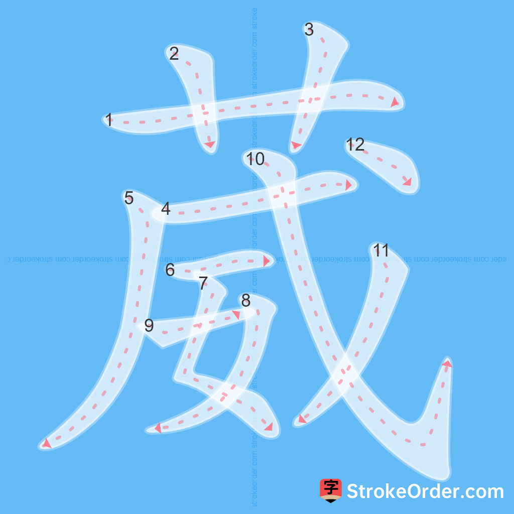 Standard stroke order for the Chinese character 葳