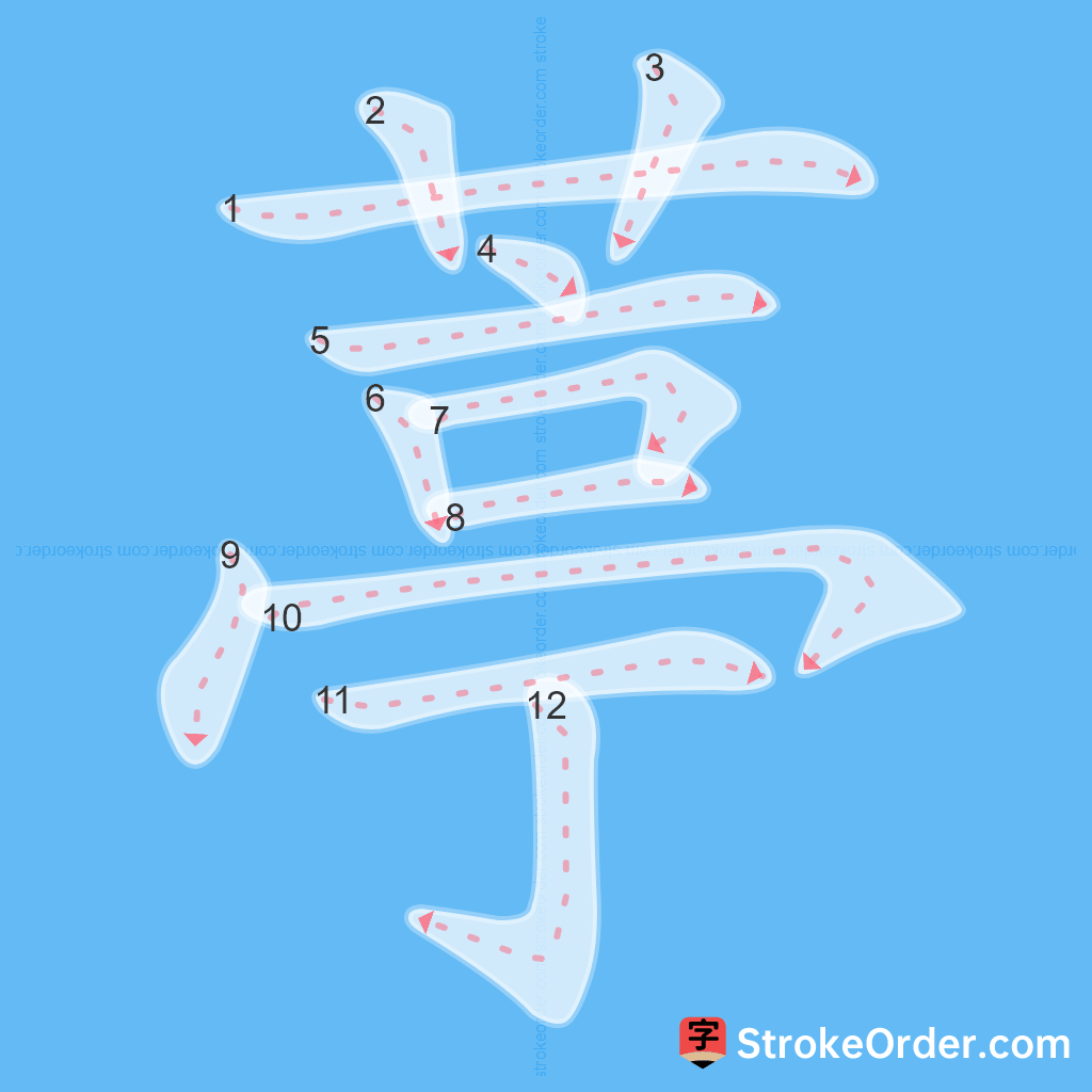 Standard stroke order for the Chinese character 葶