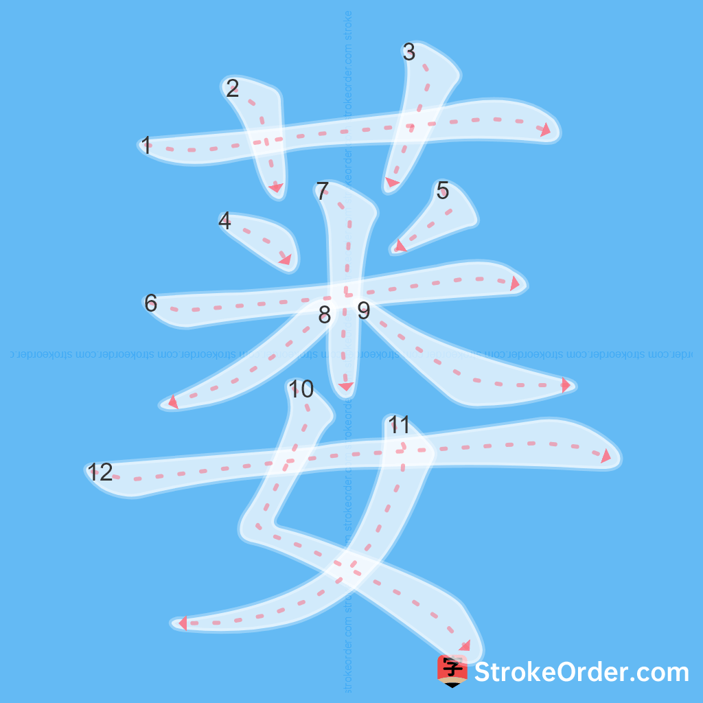 Standard stroke order for the Chinese character 蒌