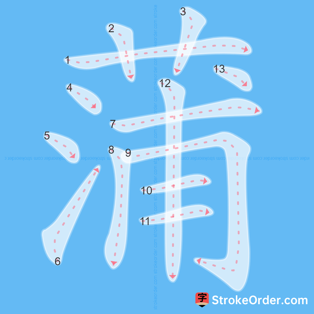 Standard stroke order for the Chinese character 蒲