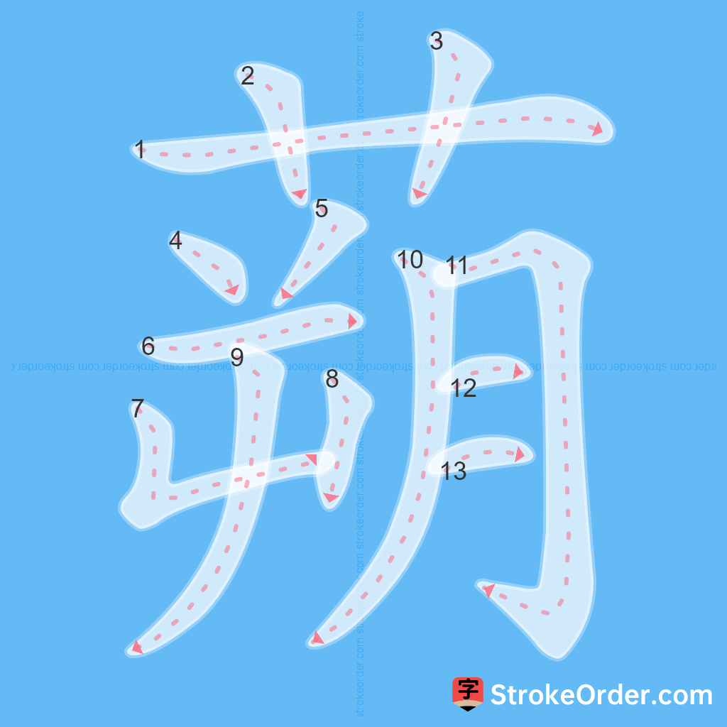 Standard stroke order for the Chinese character 蒴