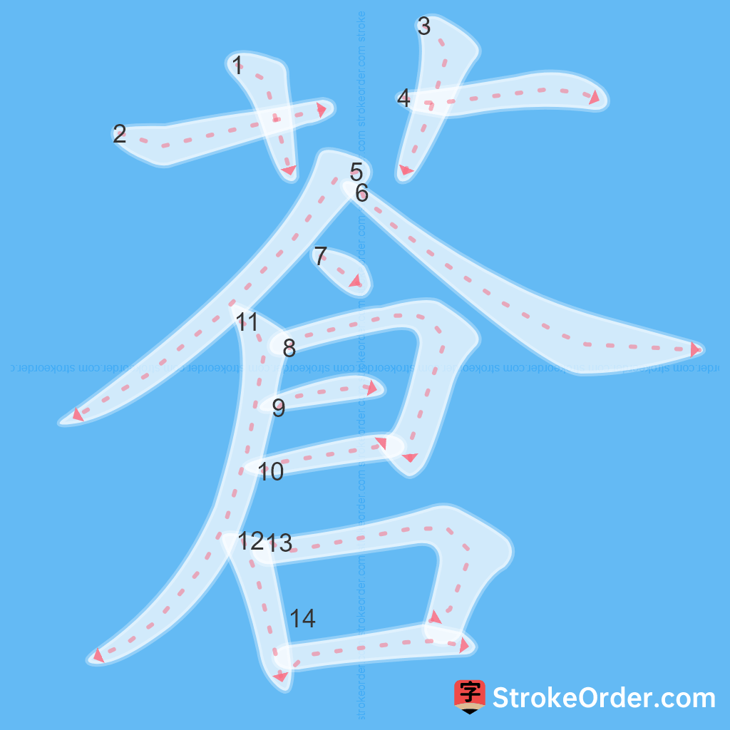 Standard stroke order for the Chinese character 蒼