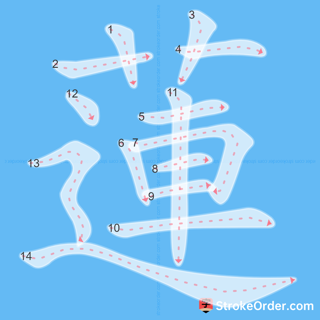 Standard stroke order for the Chinese character 蓮