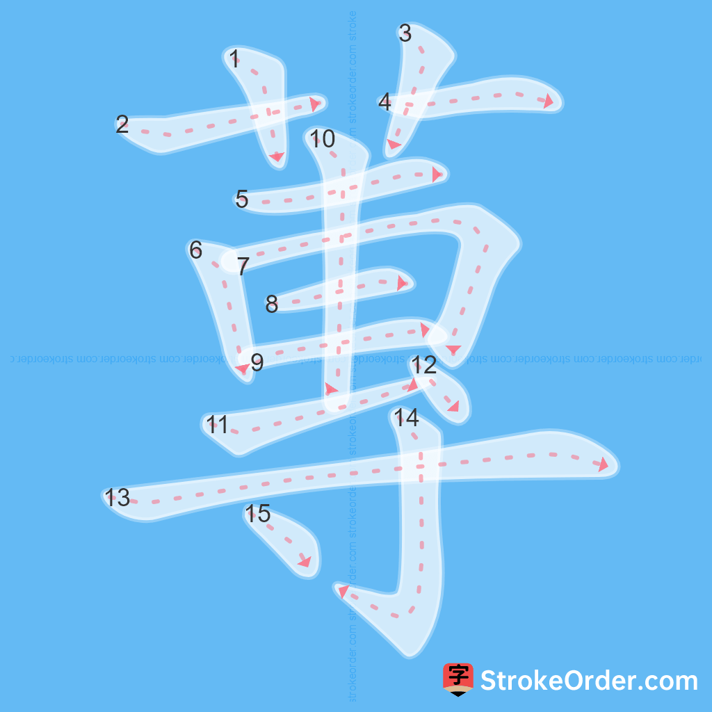 Standard stroke order for the Chinese character 蓴